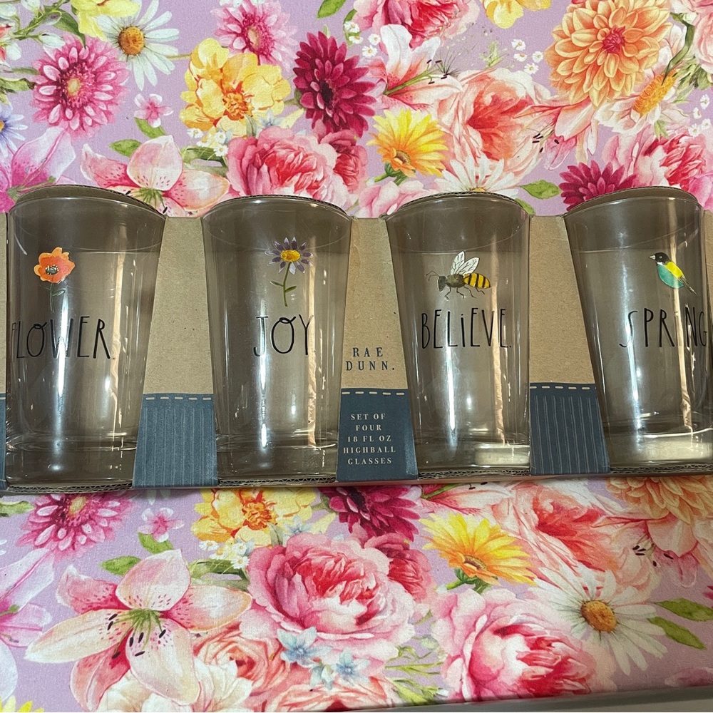 Rae Dunn 4 glass cup set spring